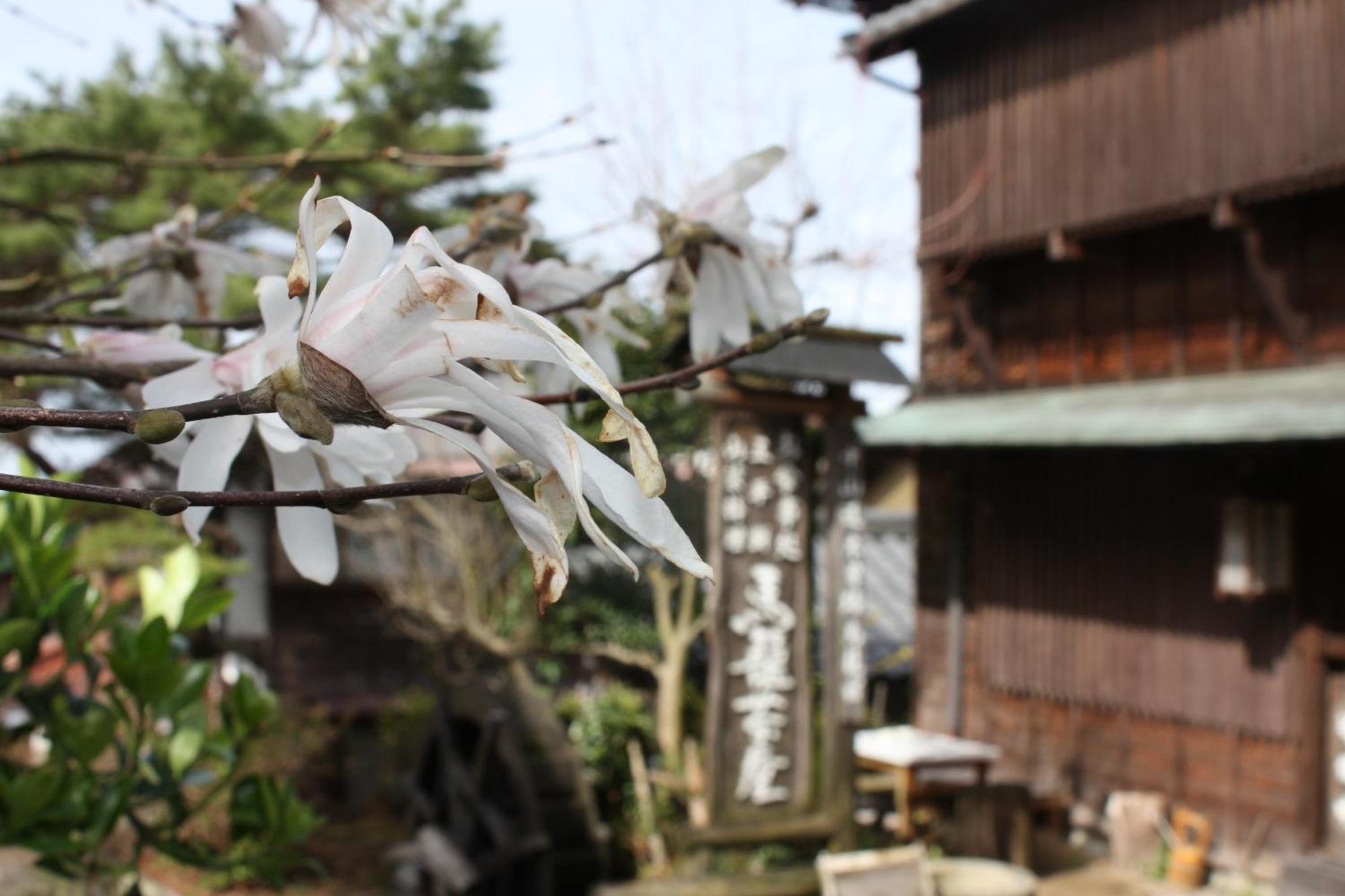 Magome Chaya Hotell Nakatsugawa Eksteriør bilde