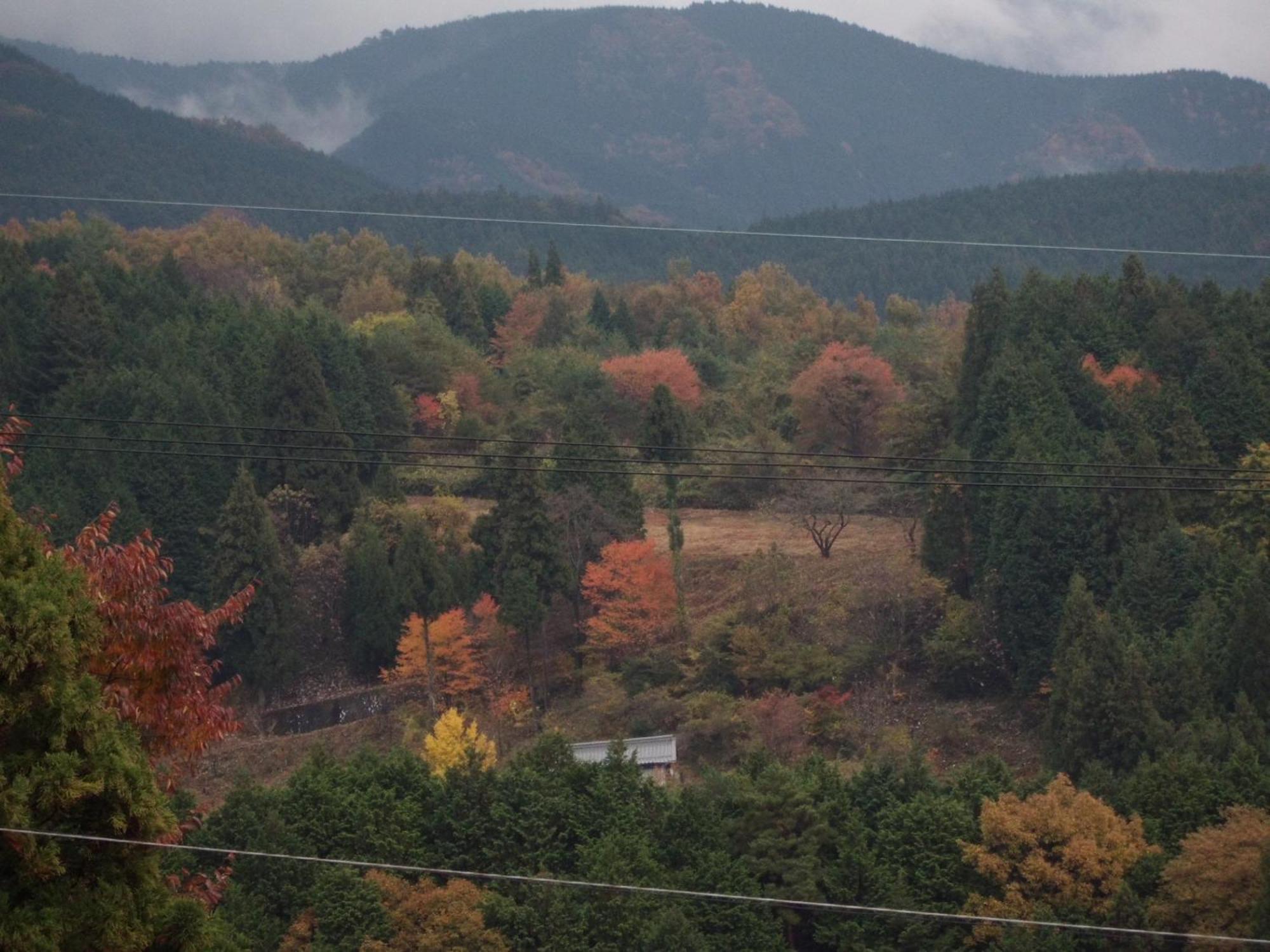 Magome Chaya Hotell Nakatsugawa Eksteriør bilde